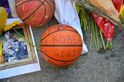 DSC_7150 (Large).JPG